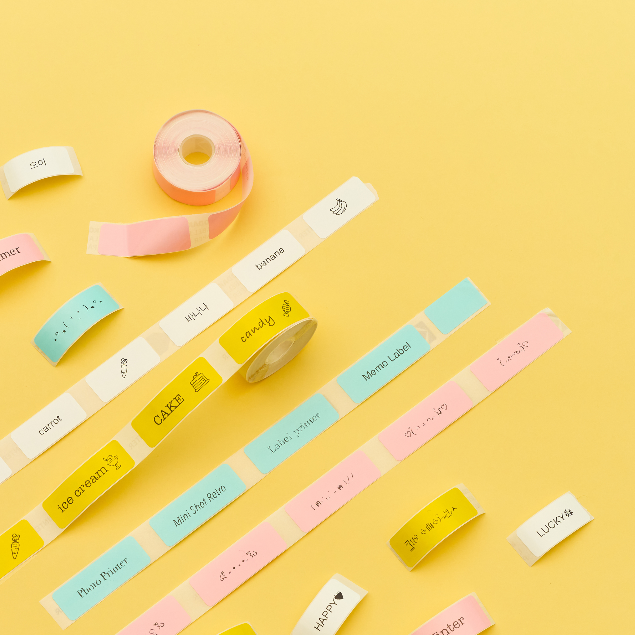 KODAK Label ERA Label Refill Pack (12 Rolls)